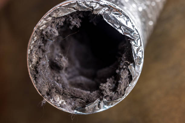 Best Residential Air Duct Cleaning  in Sealy, TX